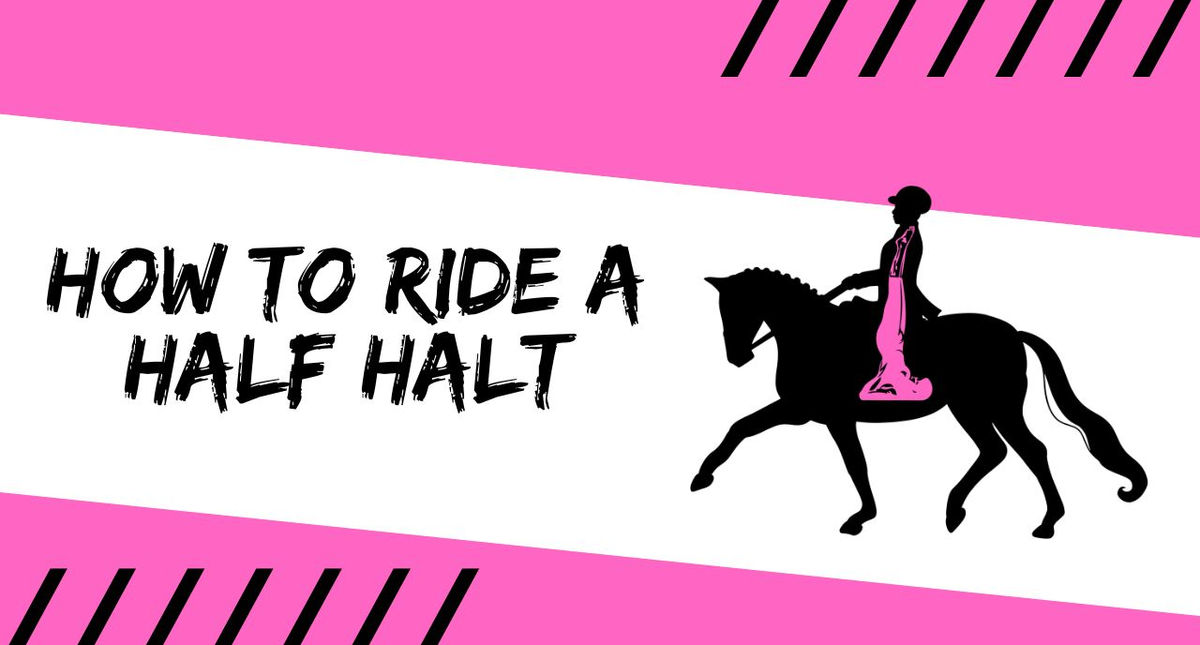 How to ride a Half Halt